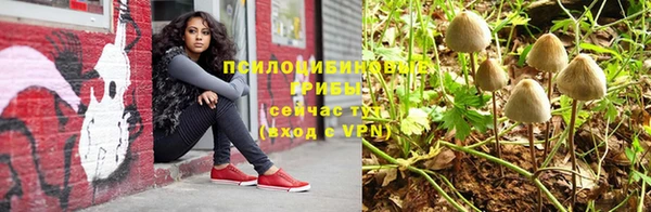 соль ск Алексеевка