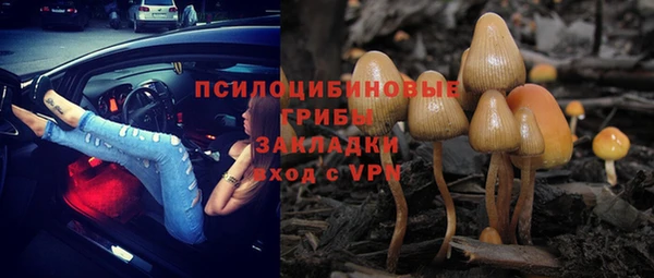 соль ск Алексеевка