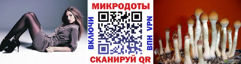 ссылка на мегу как зайти  Губкин  Псилоцибиновые грибы мицелий 