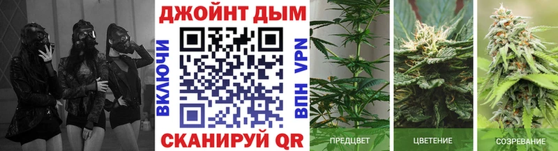 Канабис AK-47 Губкин